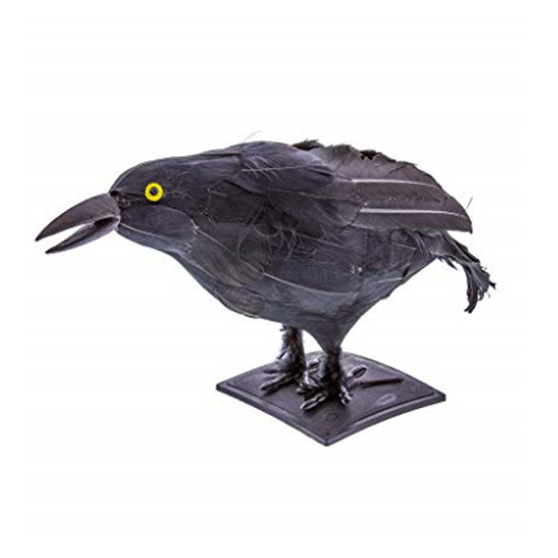 Những con quạ thực tế Halloween